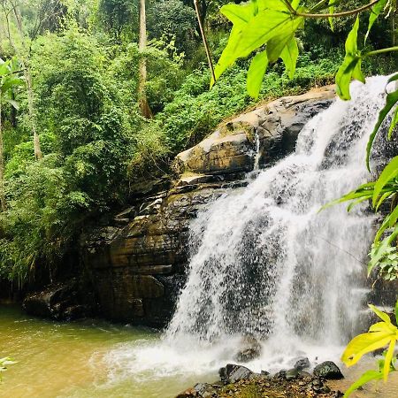 River Splendour Home Stay Ella Bagian luar foto