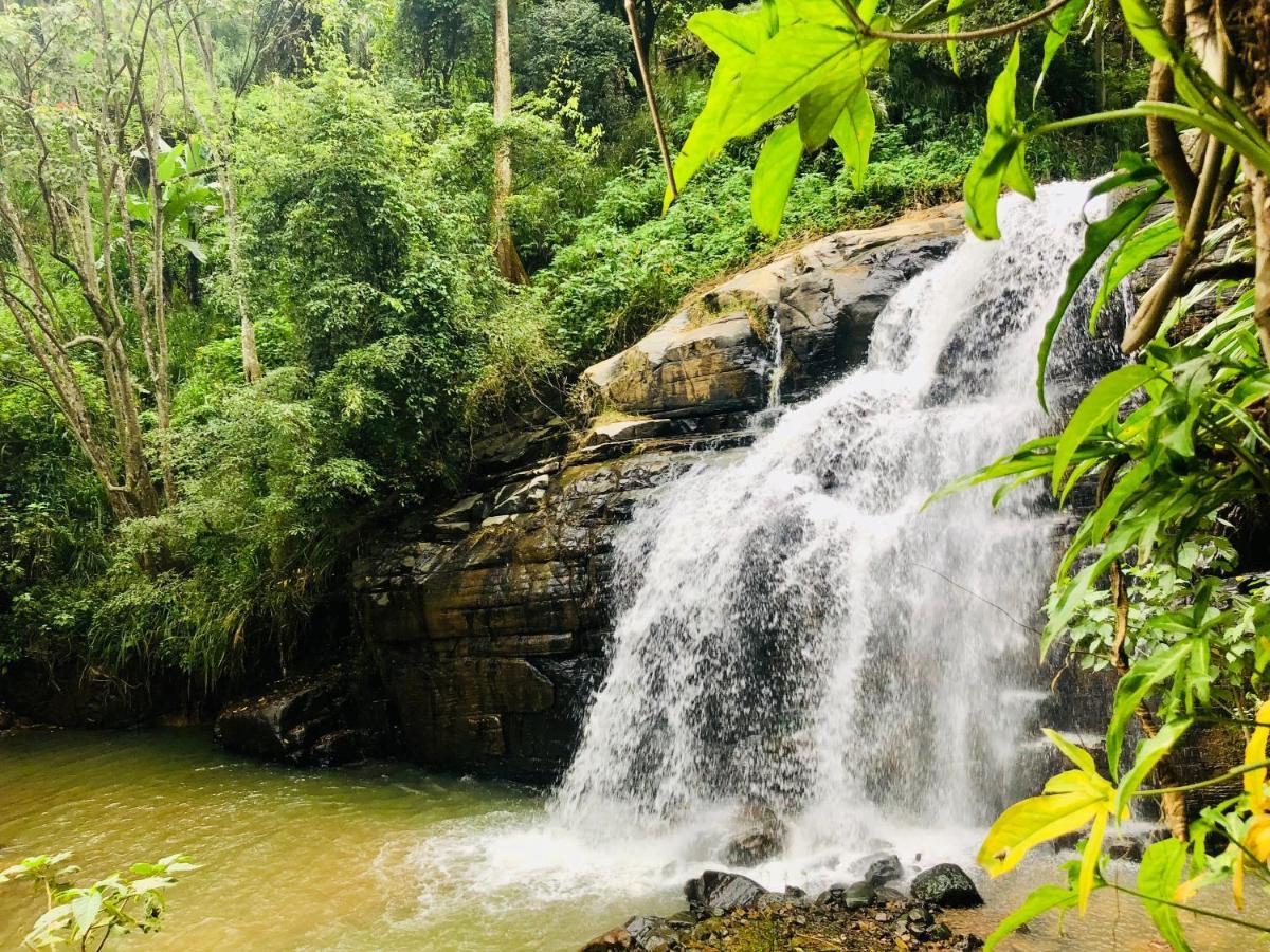 River Splendour Home Stay Ella Bagian luar foto