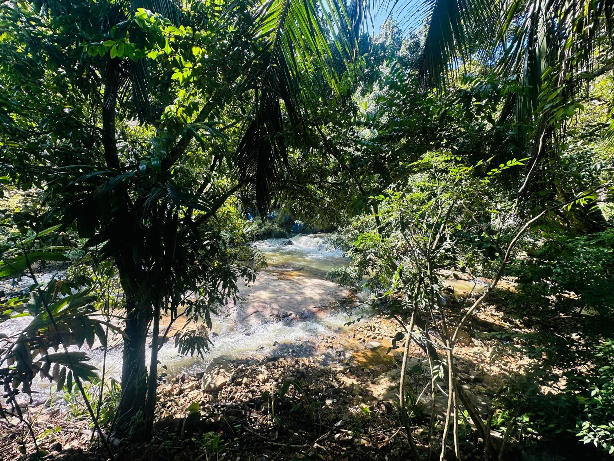 River Splendour Home Stay Ella Bagian luar foto