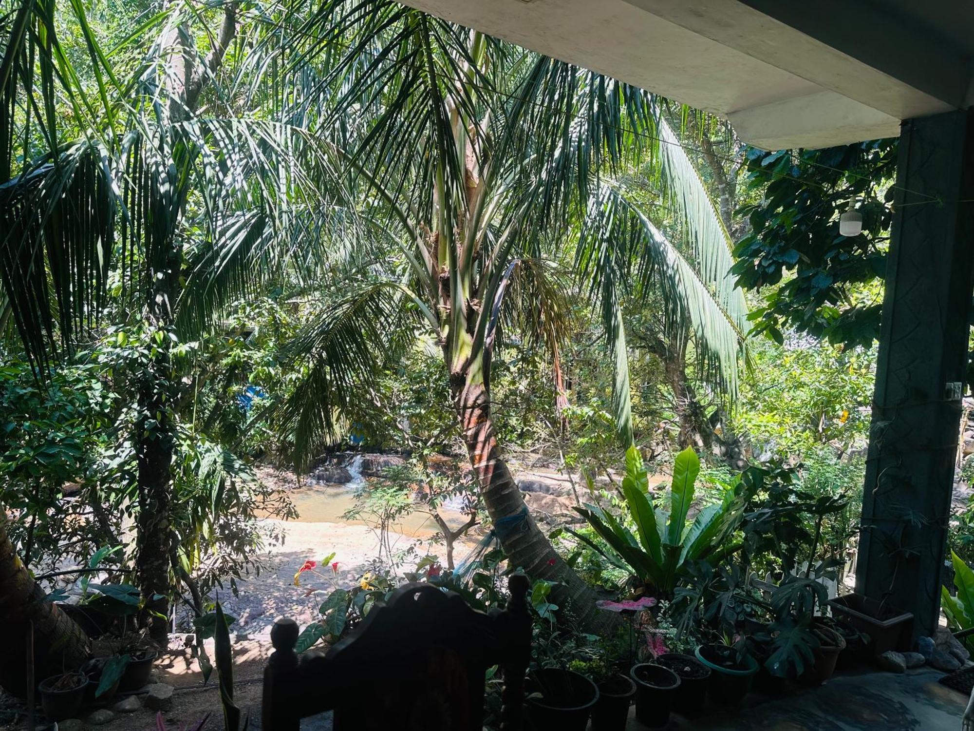 River Splendour Home Stay Ella Bagian luar foto
